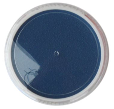 gid://shopify/Product/9873811210568_1